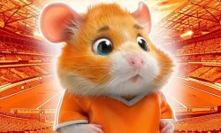 4 Eylül 2024 Hamster Kombat günlük şifre