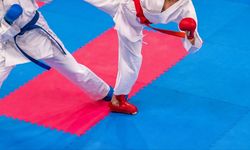 2024 Paris Olimpiyat Oyunları'nda karate yok mu, neden yok?