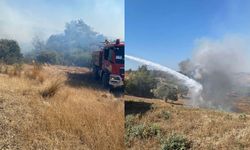 Adana'da korkutan yangın: Anız yangını ormanlık alanı sardı!