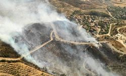 Bolu ve İzmir'deki orman yangınlarının ardında kalan tahribat havadan görüntülendi