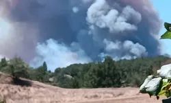 Son dakika Bolu Göynük orman yangını