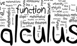 Calculus Nedir? Kullanım alanları nelerdir?