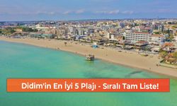 Didim'in En İyi 5 Plajı - Sıralı Tam Liste!