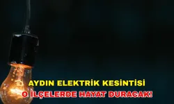 23 Ekim 2024 Gediz Elektrik'ten önemli uyarı! Aydın elektrik kesintisi saatler sürecek