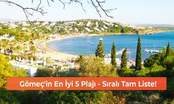 Gömeç'in En İyi 5 Plajı - Sıralı Tam Liste!