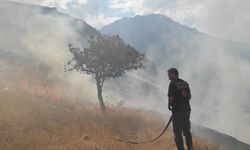 Hakkari'de korkutan anız yangını