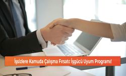 İşsizlere Kamuda Çalışma Fırsatı: İşgücü Uyum Programı!