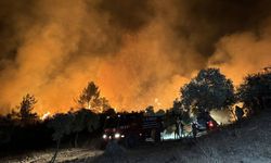 NASA uyarısı: İzmir, Manisa ve Bolu'da binlerce hektarlık alan küle döndü