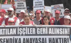 Polonez Gıda İşçileri: "İşimizi ve TİS’i Savunmak İçin Birlikteyiz!"