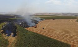 Tekirdağ'da yangınlar, tarım arazilerinde hasara yol açtı