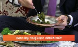 Tokat'ın Hangi Yemeği Meşhur: Tokat'da Ne Yenir?