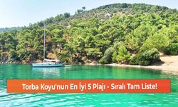 Torba Koyu'nun En İyi 5 Plajı - Sıralı Tam Liste!