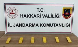 Jandarma kaçakçılara göz açtımıyor: 17 milyon TL değerinde altın ele geçirildi