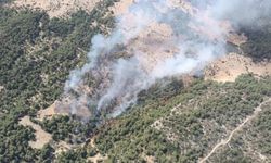 Antalya’nın Kaş İlçesinde Orman Yangını