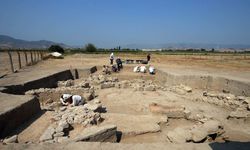 Aydın'daki Tepecik Höyüğü'nde 3 bin 500 yıllık midye kabukları bulundu