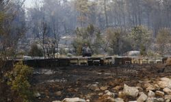 Başkan Aras'tan yangından etkilenen arıcılara destek