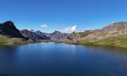 Erzurum’a 145 km uzaklıkta: Yedigöller’de yaban hayatının kalbi atıyor!