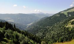 Giresun'da doğayla buluşabileceğiniz en güzel 5 tabiat parkı...