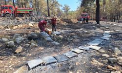 Muğla Büyükşehir Belediyesi yangınlardan etkilenen arıcılara destek oluyor