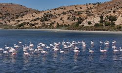 Aydın'ın Ekoturizm Merkezi, bölgeyi dünya turizmine açıyor