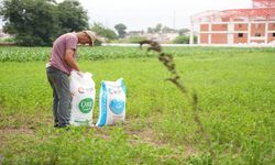 EFOR GÜBRE ne iş yapar? EFOR GÜBRE sahibi kim?