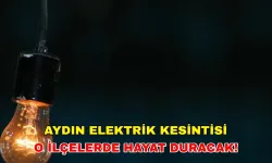 11 Ekim 2024 Aydın elektrik kesintisi o ilçelerde etkili olacak! - Aydem Elektrik kesintisi (ADM)