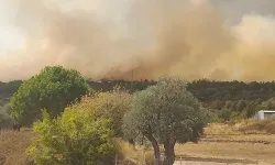 Foça'da korkutan yangın: Ormanlık alana sıçradı