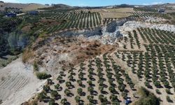 Hatay’da dev yarık, zeytin bahçesini ikiye böldü!