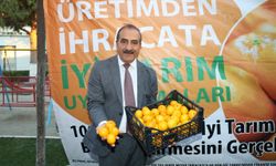 Mandalina ihracatında yüzde 10 artış hedefi