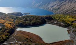 Nemrut Kalderası'nın sarı cenneti: Bitlis'te doğanın altın rüyası!