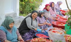 Aliağa'nın doğal Çıtak nar ekşisi sofralara lezzet katıyor