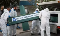 Antalya'da üç kardeşin ces*di evlerinde öl* bulunmuştu: Kahreden detay ortaya çıktı