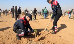 Aydın’da 11 Kasım Milli Ağaçlandırma Günü Nedeniyle 9 Bin 261 Fidan Dikildi