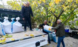 Bornova Belediyesi, zeytin üreticilerine ücretsiz nakliye hizmeti başlattı