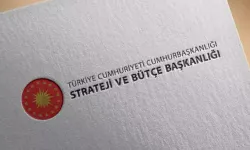 Cumhurbaşkanlığı Strateji ve Bütçe Başkanlığı alım yapacak: İşte başvuru şartları…