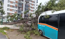 İzmir'de tedbir alındı: 850 personel sahaya indi!