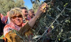 İzmir'de zeytin ve zeytinyağı sezonu coşkuyla açıldı