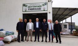 Kemalpaşa Belediyesi Zeytinyağı Fabrikası’nda sıkım işlemleri başladı