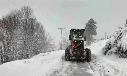 Ordu’da ava giden 4 kişi karda mahsur kaldı: Arama çalışmaları devam ediyor