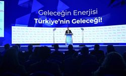 Yenilenebilir Enerjide Yeni Adımlar: TBMM ve Sektörden Tam Destek