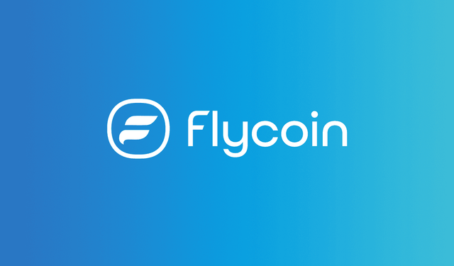 FLY Coin Nedir? FLY Token Hangi Borsalarda Var?