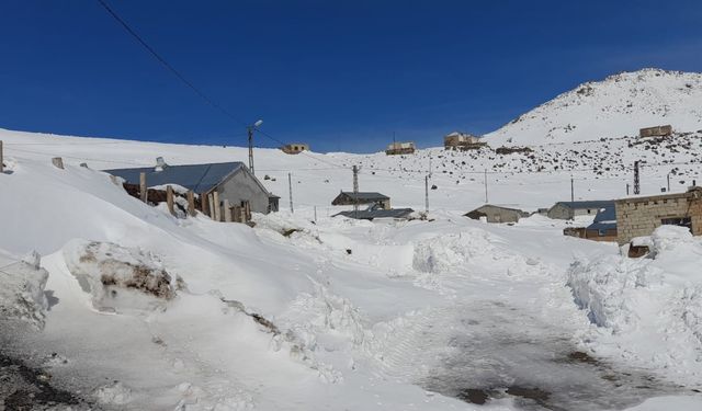 Türkiye'nin en yüksek rakımlı köyü karda kayboldu!