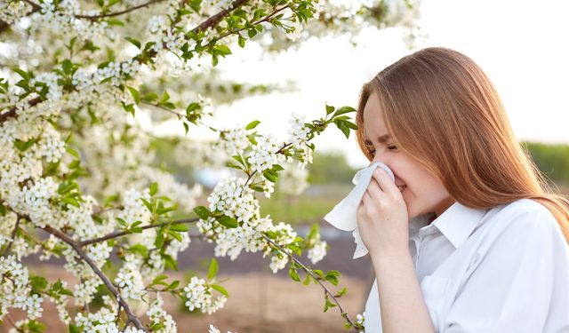 Polen alerjisine ne iyi gelir? Polen alerjisi hangi ayda olur?