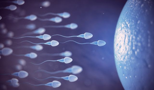 Erkek infertilitesinde tabuların ve bilinçsizliğin kırılması gerek
