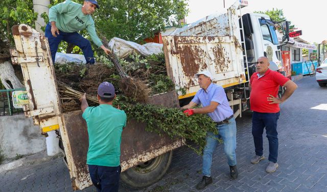 Buca’da üreticilere büyük destek: Köyler bölgesine meyve fidanı dağıtıldı