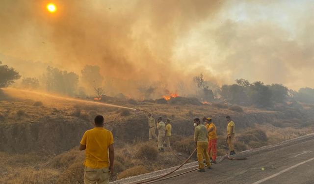 Dikili’de orman yangını:  Site tahliye edildi, karayolu ulaşıma kapandı!