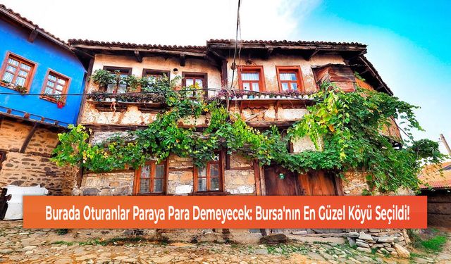 Burada Oturanlar Paraya Para Demeyecek: Bursa'nın En Güzel Köyü Seçildi