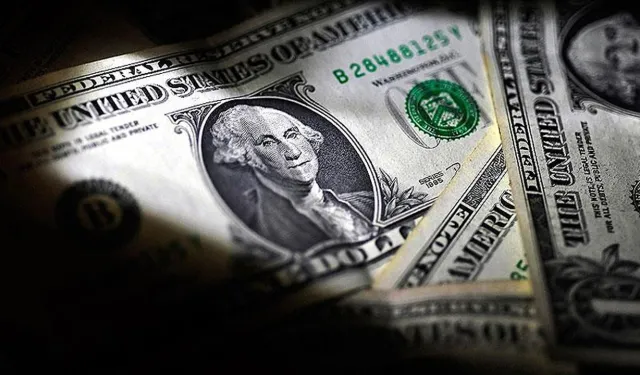 Merkez Bankası dolar kuru ne kadar oldu? 1 dolar ne kadar 2024?