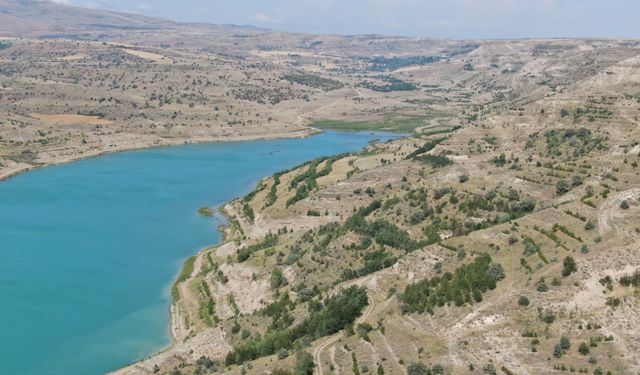 Sivas'ta susuzluk alarmı: 4 Eylül Barajı kuruma tehlikesiyle karşı karşıya!