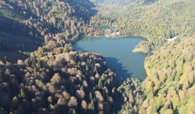 Artvin’in gözbebeği: Karagöl’ün sonbahar güzellikleri keşfedilmeyi bekliyor!